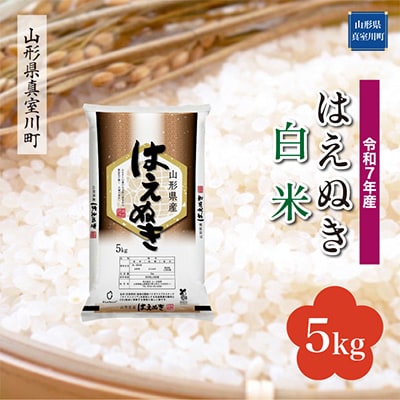 【令和7年産米】 はえぬき【白米】5kg(5kg×1袋)◆RR7H05M-H