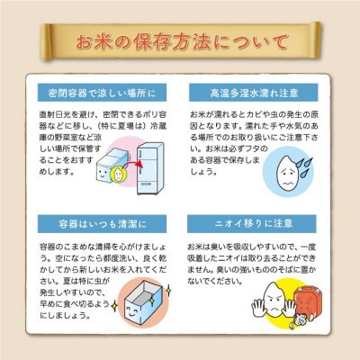 《令和7年産米先行受付》 真室川町産 はえぬき【玄米】 30kg (15kg×2袋)