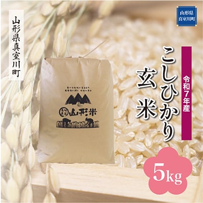 【令和7年産米】 こしひかり【玄米】5kg(5kg×1袋)◆RR7K05M-G