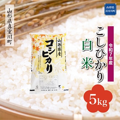 【令和7年産米】 こしひかり【白米】5kg(5kg×1袋)◆RR7K05M-H