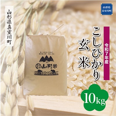【令和7年産米】 こしひかり【玄米】10kg(10kg×1袋)◆RR7K10M-G