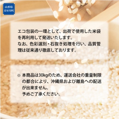 ★数量限定★「令和7年産 はえぬき」【玄米】 30kg (30kg×1袋) ◆SR7H30M-G