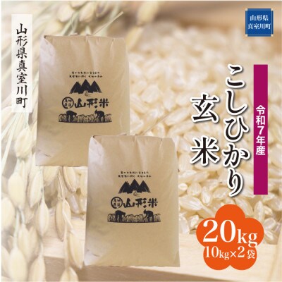 【令和7年産米】 こしひかり【玄米】20kg(10kg×2袋)◆KR7K20M-G
