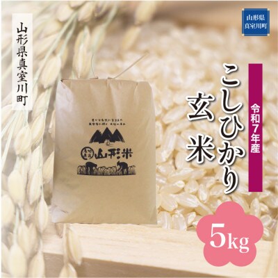 【令和7年産米】 こしひかり【玄米】5kg(5kg×1袋)◆KR7K05M-G