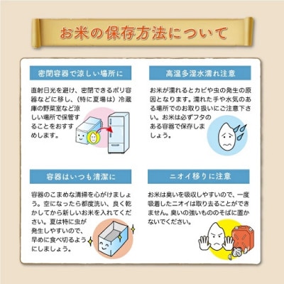 【令和7年産米】 こしひかり【無洗米】5kg(5kg×1袋)◆KR7K05M-M