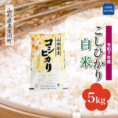 【令和7年産米】 こしひかり【白米】5kg(5kg×1袋)◆KR7K05M-H