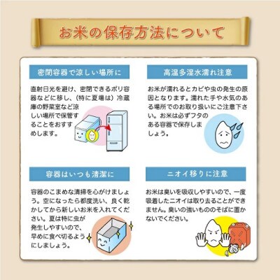 【令和7年産米】 雪若丸【玄米】20kg(10kg×2袋)◆KR7Y20M-G