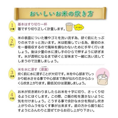 【令和7年産米】 雪若丸【白米】20kg(5kg×4袋)◆KR7Y20M-H