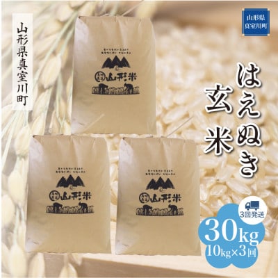 【毎月定期便】はえぬき【玄米】30kg(10×3回)◆RR7H3010M-G全3回