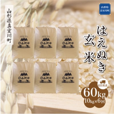 【毎月定期便】はえぬき【玄米】60kg(10×6回)◆RR7H6010M-G全6回