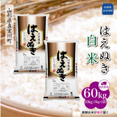 【毎月定期便】はえぬき【白米】60kg (10×6回)◆RR7H6010M-H全6回