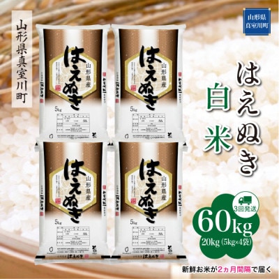 【2ヵ月毎定期便】はえぬき【白米】60kg(20×3回)◆RR7H6020M-H全3回