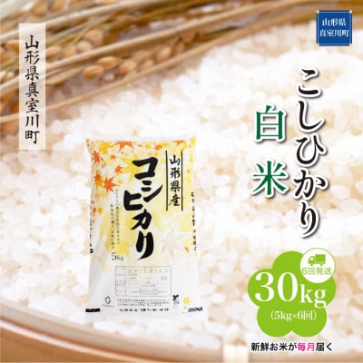 【毎月定期便】こしひかり【白米】30kg(5×6回)◆RR7K3005M-H全6回