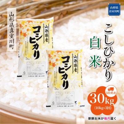 【毎月定期便】こしひかり【白米】30kg(10×3回)◆RR7K3010M-H全3回