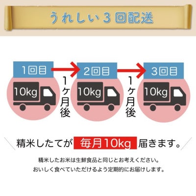 【毎月定期便】こしひかり【無洗米】30kg(10×3)◆RR7K3010M-M全3回