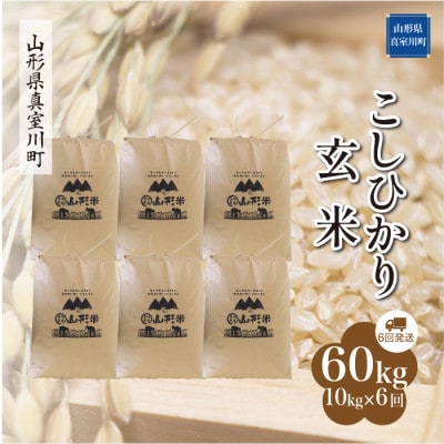 【毎月定期便】こしひかり【玄米】60kg(10×6回)◆RR7K6010M-G全6回