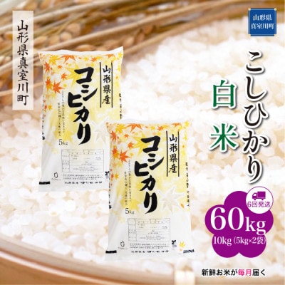 【毎月定期便】こしひかり【白米】60kg(10×6回)◆RR7K6010M-H全6回
