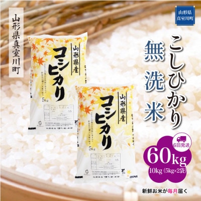 【毎月定期便】こしひかり【無洗米】60kg(10×6)◆RR7K6010M-M全6回