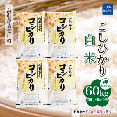 【2ヵ月毎定期便】こしひかり【白米】60kg(20×3回)◆RR7K6020M-H全3回