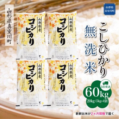 【2ヵ月毎定期便】こしひかり【無洗米】60kg(20×3)◆RR7K6020M-M全3回