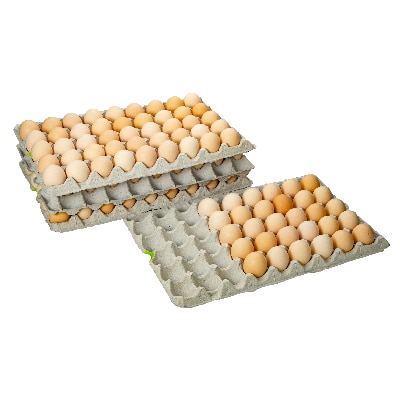 料理の彩りを豊かに、『黄味自慢』 約10kg