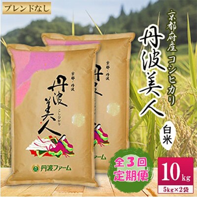 【毎月定期便】 京都府産コシヒカリ　丹波美人(白米)5kg×2袋 全3回