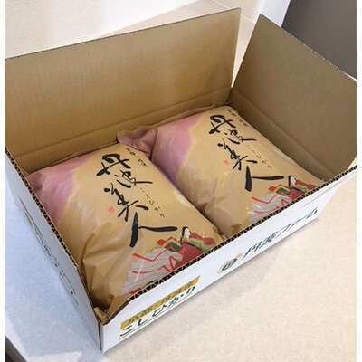 【毎月定期便】 京都府産コシヒカリ　丹波美人(白米)5kg×2袋 全6回