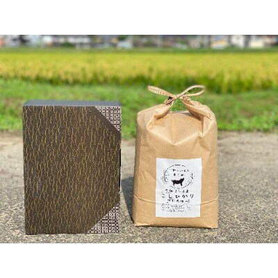 【京都丹波】小林ふぁ～むのコシヒカリ(令和6年産・精米)5kg