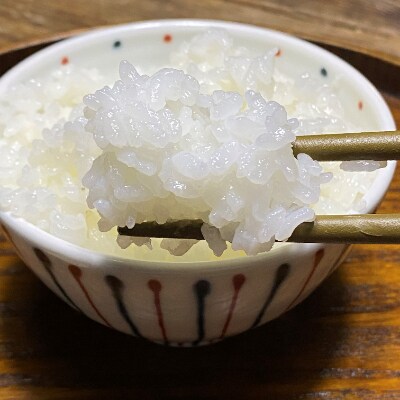 【京都丹波】小林ふぁ～むのコシヒカリ(令和6年産・精米)　10kg