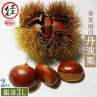 秦栗園の丹波栗 銀寄3L 2kg 生栗 大粒 10月上旬発送