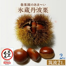 秦栗園のあま～い氷蔵丹波栗 筑波2L 2kg【熟成】10月下旬発送