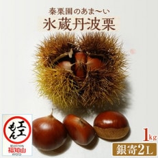 秦栗園のあま～い氷蔵丹波栗 銀寄2L 1kg【熟成】11月上旬発送