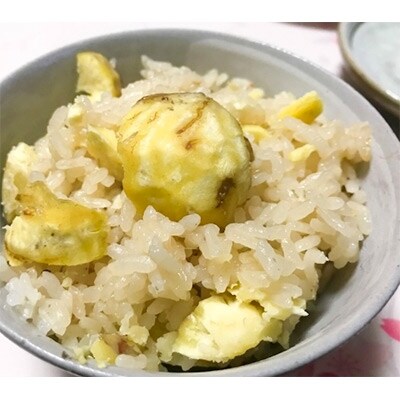 秦栗園のあま～い氷蔵丹波栗 銀寄2L むき500g【熟成】11月中旬発送