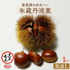 秦栗園のあま～い氷蔵丹波栗 筑波L1kg【熟成】11月中旬発送