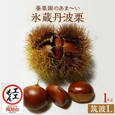秦栗園のあま～い氷蔵丹波栗 筑波L1kg【熟成】11月上旬発送