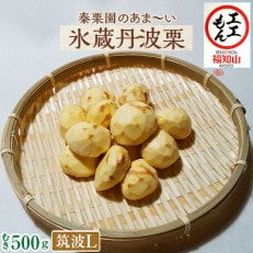 秦栗園のあま～い氷蔵丹波栗 筑波Lむき500g【熟成】11月中旬発送