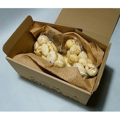 秦栗園のあま～い氷蔵丹波栗 銀寄Lむき500g【熟成】11月中旬発送
