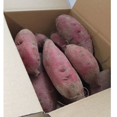 2ヶ月熟成 あま～いサツマイモ シルクスイート 2kg