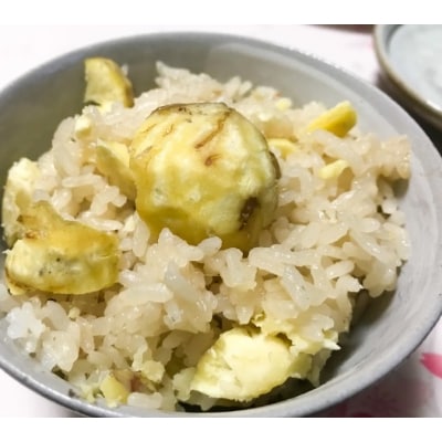 秦栗園のあま～い氷蔵丹波栗 早生玉造2L むき500g【熟成】10月中旬発送