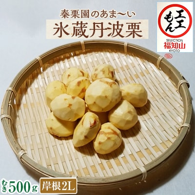 秦栗園のあま～い氷蔵丹波栗 岸根2L むき500g【熟成】11月下旬発送