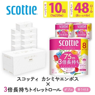 スコッティカシミヤエンボス 10箱 + トイレットロール48ロール【複数個口で配送】