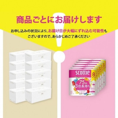 スコッティカシミヤエンボス 10箱 + トイレットロール48ロール【複数個口で配送】