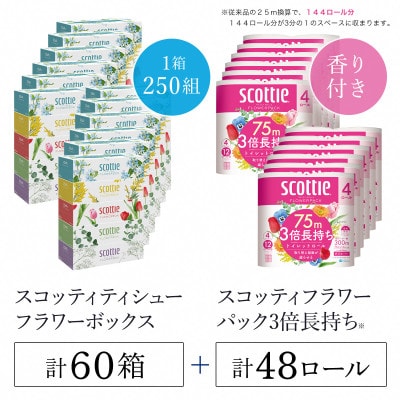 ボックスティッシュ60箱+トイレットロール48ロール セット【複数個口で配送】