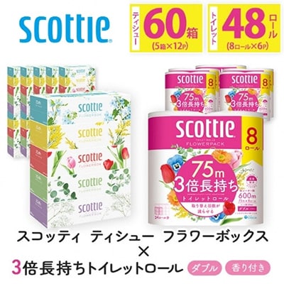 ボックスティッシュ60箱+トイレットロール48ロール セット【複数個口で配送】