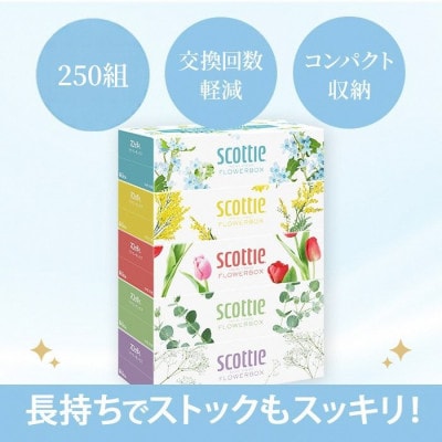 ボックスティッシュ60箱+トイレットロール48ロール セット【複数個口で配送】