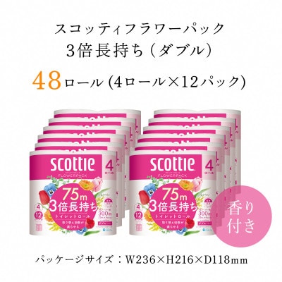 ボックスティッシュ60箱+トイレットロール48ロール セット【複数個口で配送】