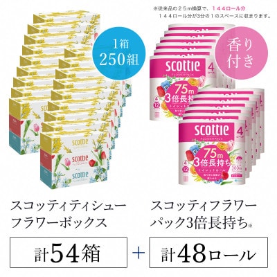 ボックスティッシュ54箱+トイレットロール48ロール セット【複数個口で配送】