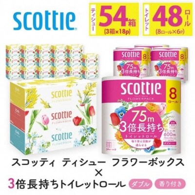ボックスティッシュ54箱+トイレットロール48ロール セット【複数個口で配送】