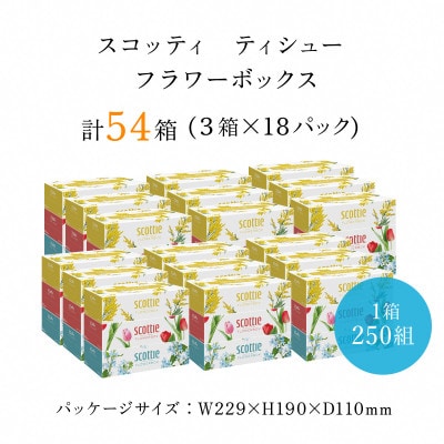 ボックスティッシュ54箱+トイレットロール48ロール セット【複数個口で配送】