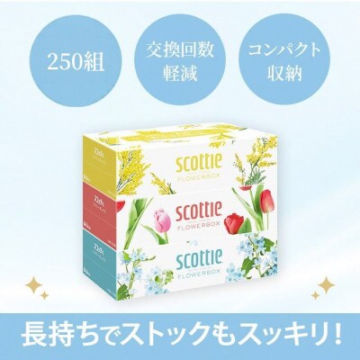 ボックスティッシュ54箱+トイレットロール48ロール セット【複数個口で配送】